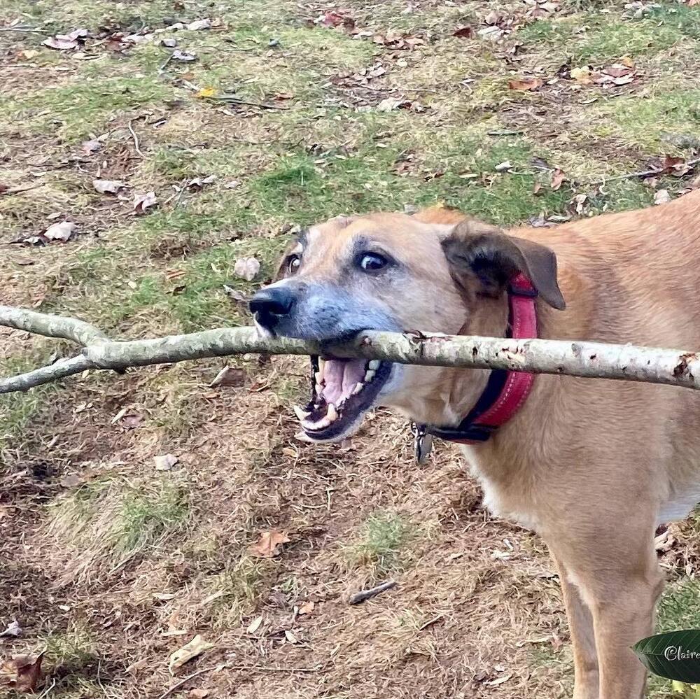 Meet your Posher, Claire